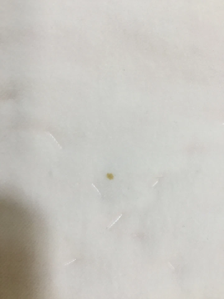 Colcha queen completa Simply Shabby Chic costurada à mão diamante rosa veludo - Imagem 3 de 4