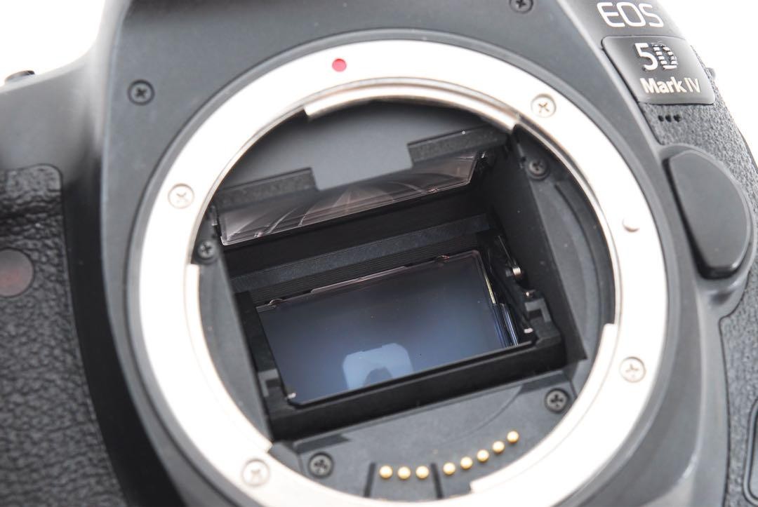 Canon EOS 5D Mark IV ＋Canon EF28-80㎜ s-l400.jpg