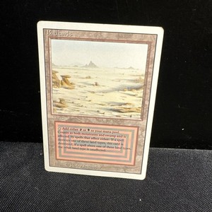 マジック：ザ・ギャザリング badlands mtg マジックザギャザリング Badlands デュアルランド 3ED マジック：ザ