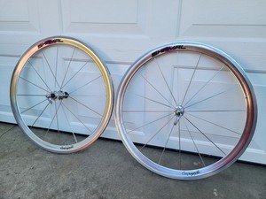 Campagnolo Shamal Mille | eBay