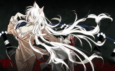 Animal Ears Girls Nekomimi Sawarineko Hanekawa Anime Poster 11x17in Wall Art