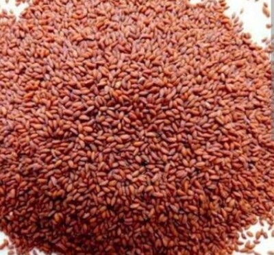 100g Gartenkresse Samen Lepidium حب الرشاد