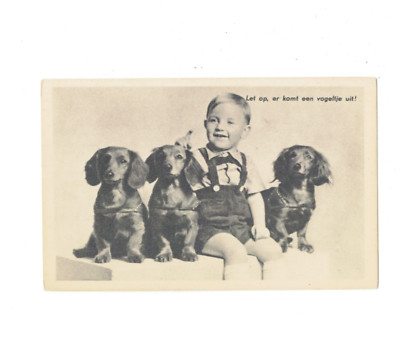 SE2098  ANIMALS  BOY POSING WITH HIS DACHHUNDS,  TECKEL PRINTED PC