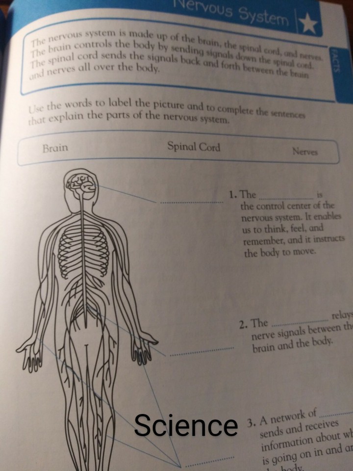 2nd Second Grade: Homeschool Curriculum Math, Grammar, Reading, Science ...