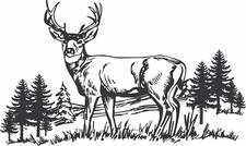 Deer Scene Wildlife Decal 2 12 X 7 Large White Deer Scene Wildlife Decal 2 12 X 7 Large White
