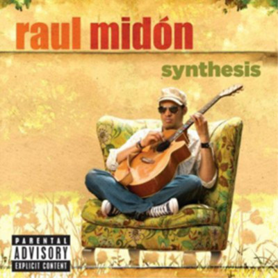 Raul Midon Synthesis (CD) Album