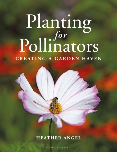 Planting for Pollinators by Heather Angel (Paperback Book)
