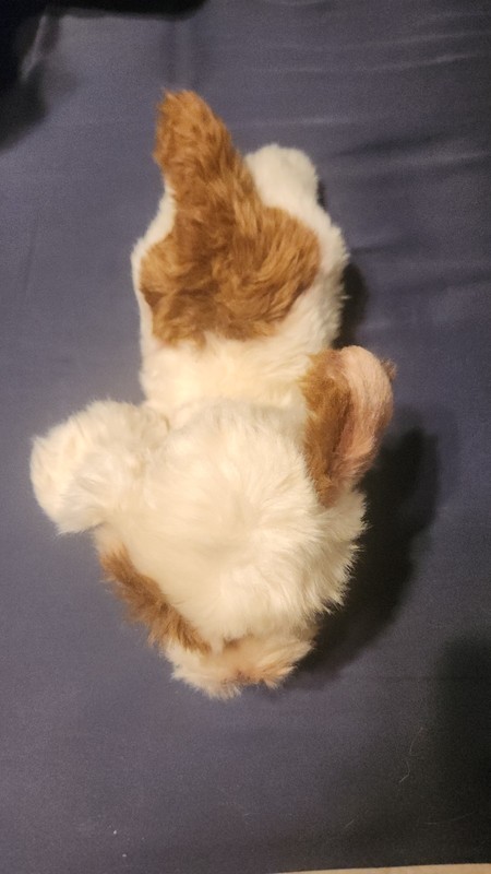 yomiko classics jackhuahua
