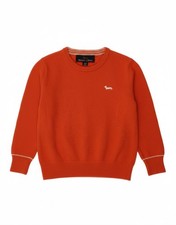 HARMONT & BLAINE Jungen Pullover Pulli mit U-...