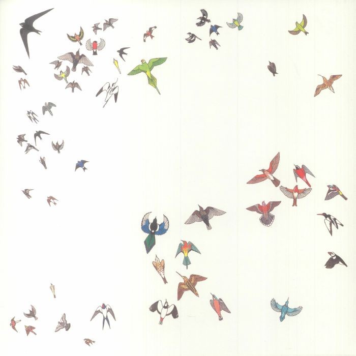 MODERN NATURE - No Fixed Point In Space - Vinyl (LP + postcard)