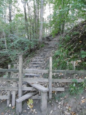 Foto 6x4 Danebridge, Pfahl Am Anfang des Fußweges durch Wald c2015