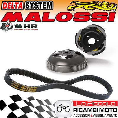 Kupplung + Glocke Delta System + Riemen MALOSSI Honda Reflex 250 4T LC 2003