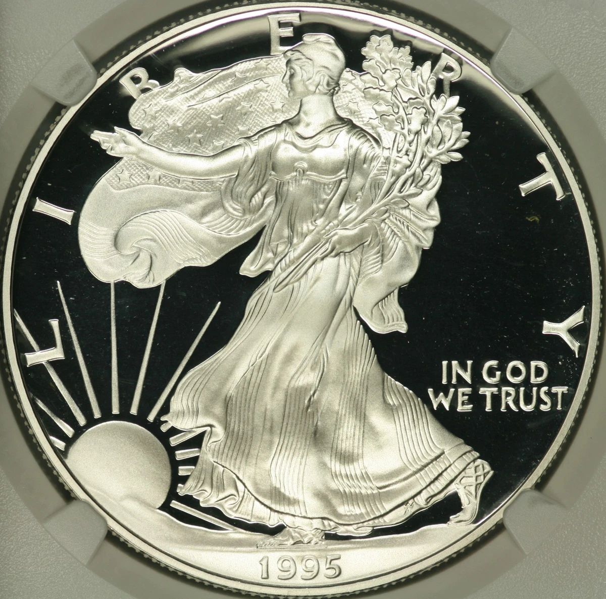 1995年 アメリカンイーグル シルバー American Eagle 1 oz Precious Metal Content per Unit 1995 Silver