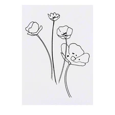 'Buttercups' Temporary Tattoos / Transfers (TO00029644)