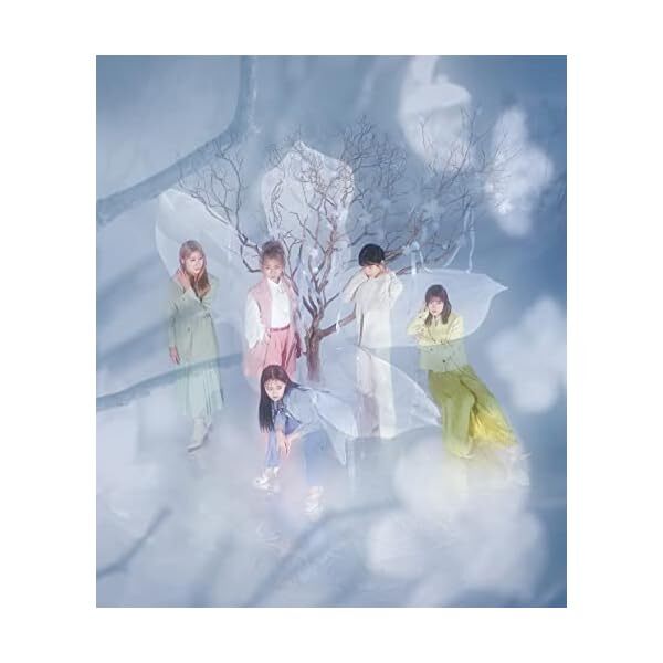 Transparent world (first -time production limited edition) (no benefits)
