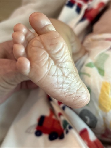 Bountiful Baby's Realborn/Reborn Baby Doll Alexa Sleeping - Picture 7 of 11