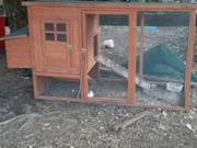 Chicken Coop In Gympie Area Qld Pets Gumtree Australia Free