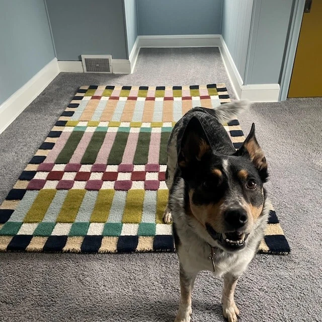 Anthropology Rug Hoxton Hand-Tufted Wool Rug Geometric Checkered 9x12, 8x10 all - Image 4 of 4