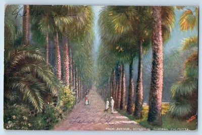 India Postcard Palm Avenue Botanical Gardens Calcutta c1910 Oilette Tuck Art