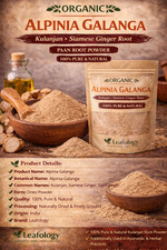 Organic Kulanjan Alpinia Galanga Powder