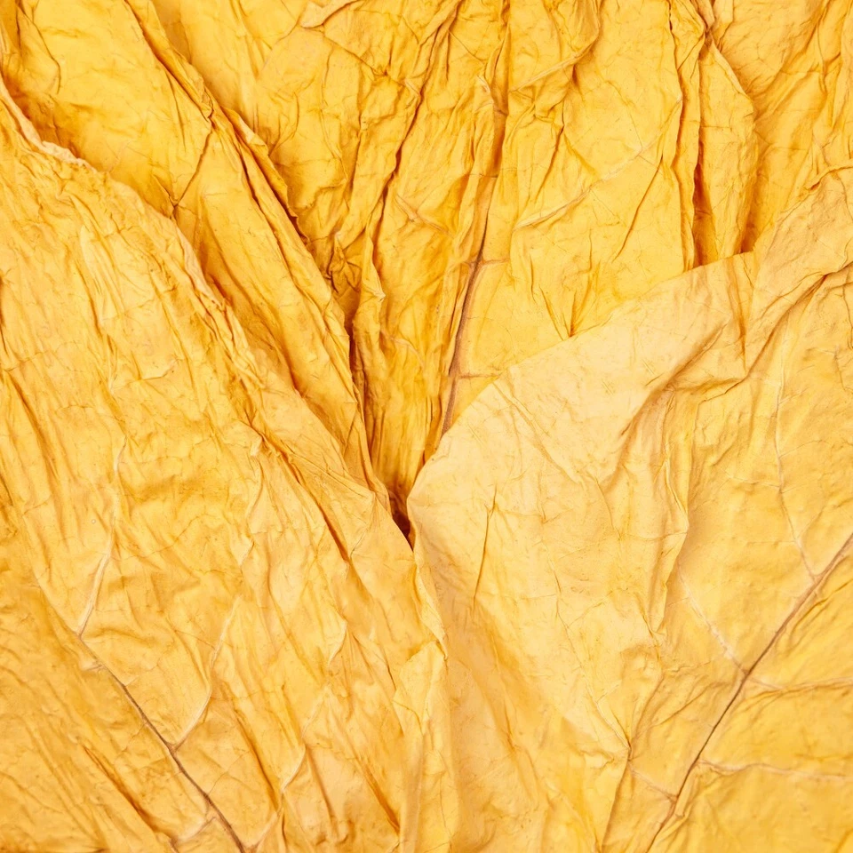 Virginia-Gold-Tabakblätter-Rohtabak der Klasse II - Bild 2 von 4