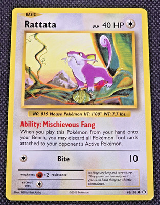 Rattata 66/108 XY - Evolutions Common Normal Pokemon TCG LP -- L32