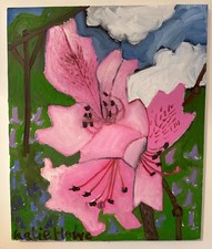 pink pearl rhododendron