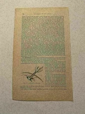 KP203) Application of Elevator to Skull Fracture Medical 317 1878 Engraving