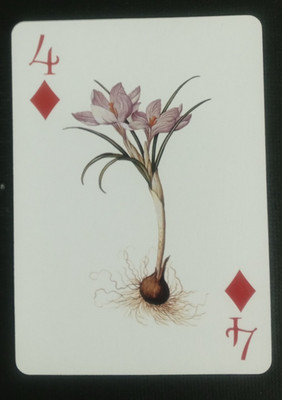 Masterpiece Playing Card Breath Of Spring 4 Diamonds