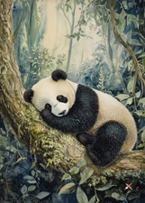 PRINT ACEO Art Card Cute Sleeping Panda Forest Limited Edition