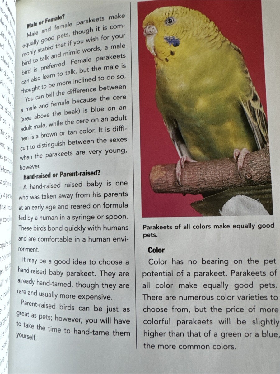 THE GUIDE TO OWNING A PARAKEET(BUDGIE) by John Bales 2004 PB