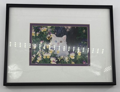 ''A Different View'' Cat Repro from the 90's in Black Metal Frame
