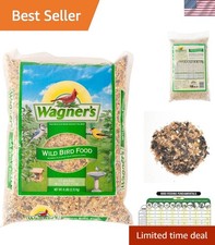 Grain Blend Bird Food, 6-Pound Bag - Perfect for Diverse Bird Species
