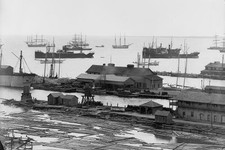 Pensacola Harbor,piers,wharves,lumber industry,boats,buildings,Florida,FL,1900