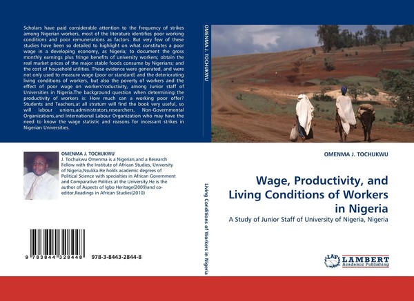 Wage, Productivity, And Living Conditions Of Workers In Nigeria Omenma J. Tochuk-image