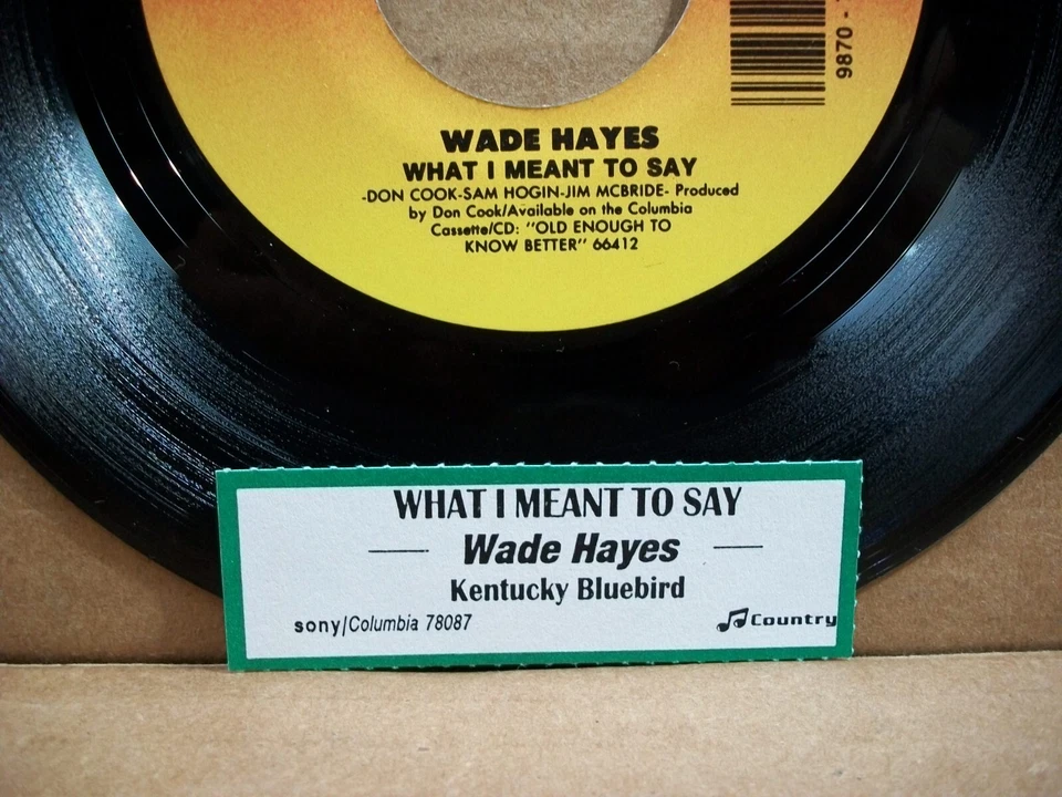 Wade Hayes - What I Mean To Say/Kentucky Bluebird (45 RPM, 1994, Columbia) Foto 3 de 4