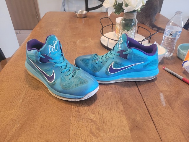 lebron 9s hornets