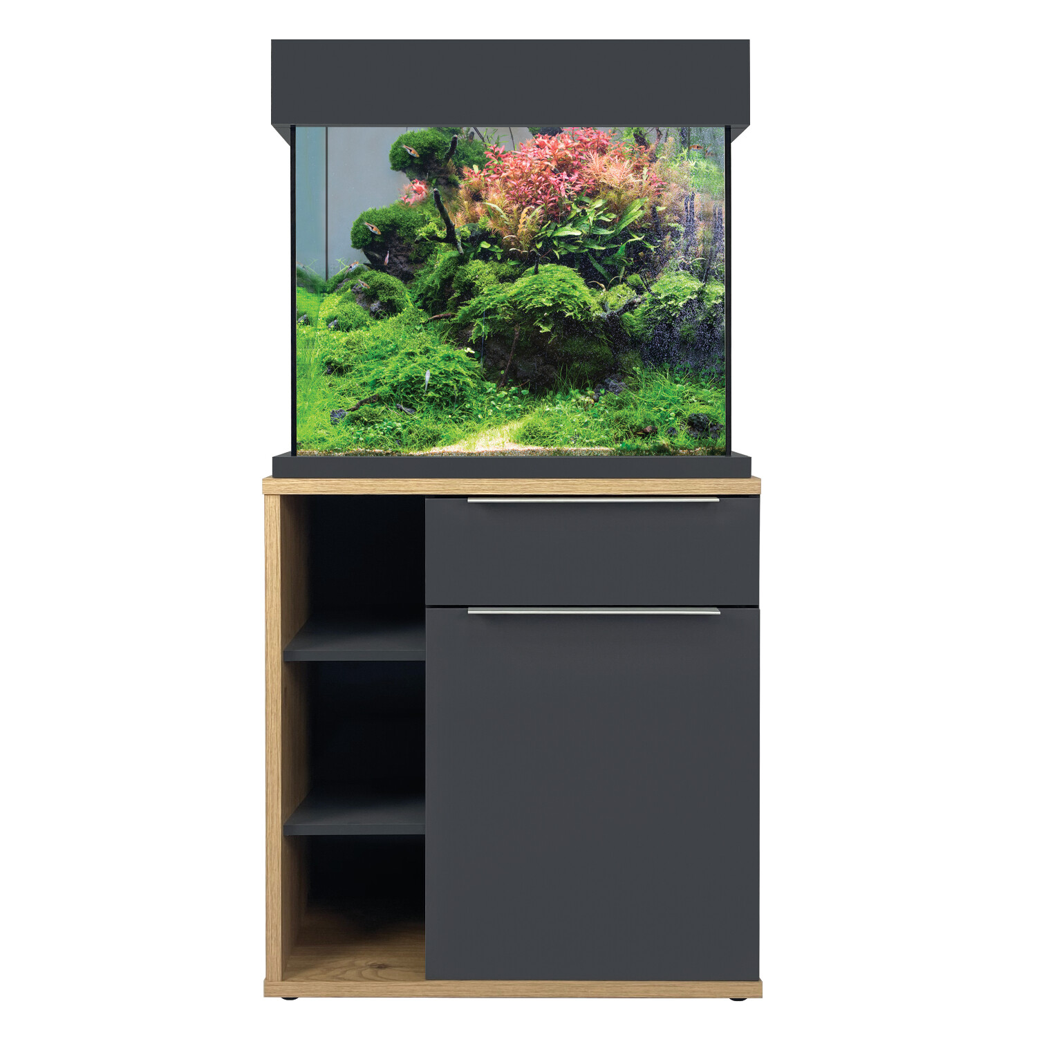 aqua one fish tank 60 litre