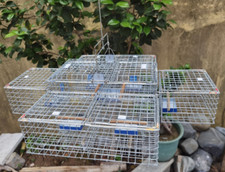 1Set 5PcsBirdcage Repeating Trap Cage Hunting Escaped bird cage Birds Catch 2323