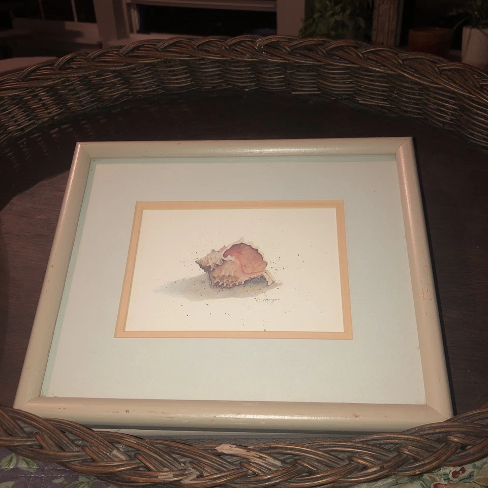 D Morgan Light Wood Framed Conch Seashell Prints (2) Beach Coast Shore Nautical - Image 3 of 4