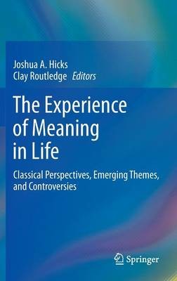 The Experience of Meaning in Life - 9789400765269