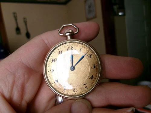 Antique 15 Jewel Gruen Watch Specialties Co. Men's Pocket Watch Wadsworth Case