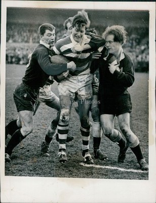 1962 Rugby Players Ball Muddy Field Crowd Boys Team Press Vintage Photo 7x9