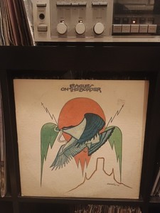 Eagles on the Border Vinyl | eBay
