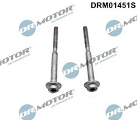Schraube EinspritzdÜSenhalter Drmotor Automotive DRM01451S FÜR Audi Seat VW