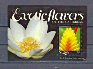 St Kitts 2011 #819 MNH Flora Stamps Exotic Flowers Caribbean Painted Feather