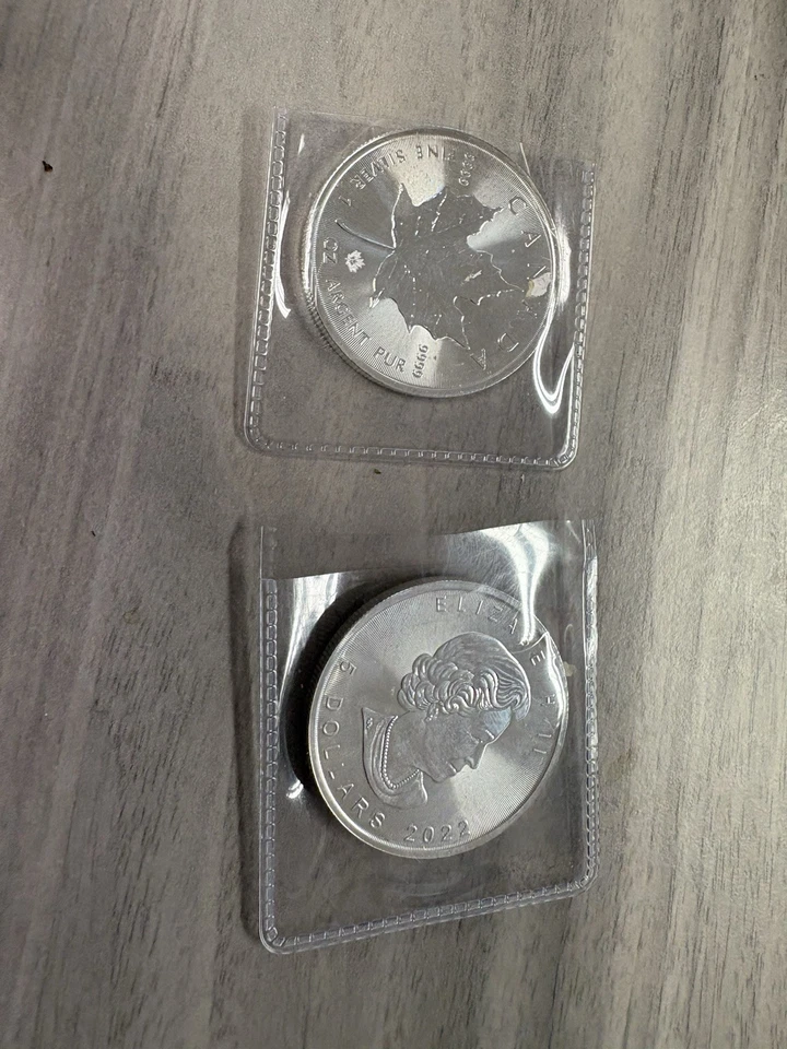 Zwei Canadian Silver Maple Leaf 1 oz Silbermünze - Bild 1 von 1