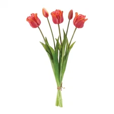 Melrose Tulip Floral Bundle (Set of 2)