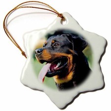 3dRose Rottweiler 3 inch Snowflake Porcelain Ornament