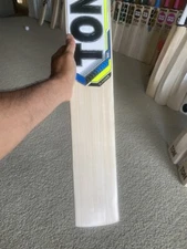 SS Ton Slasher Bat (Pro)